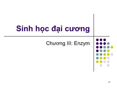 Bài giảng Sinh học đại cương - Chương 3: Enzym
