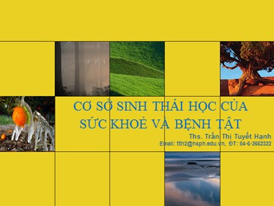 Bài giảng Cơ sở sinh thái học của sức khoẻ và bệnh tật - Trần Thị Tuyết Hạnh