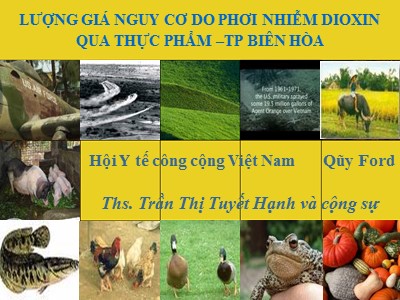 Bài giảng Lượng giá nguy cơ do phơi nhiễm dioxin qua thực phẩm – Thành phố Biên Hòa