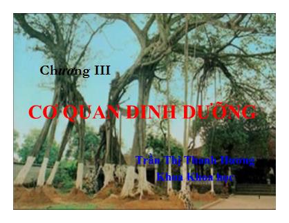 Bài giảng Thực vật và phân loại thực vật - Chương 3: Cơ quan dinh dưỡng - Trần Thị Thanh Hương