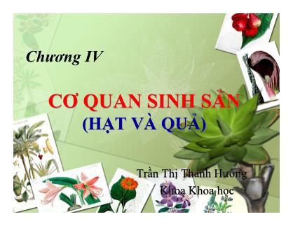 Bài giảng Thực vật và phân loại thực vật - Chương 4: Cơ quan sinh sản (Hạt và quả) - Trần Thị Thanh Hương