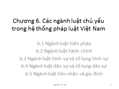Bài giảng Pháp luật đại cương - Chương 6: Các ngàng luật chủ yếu trong hệ thống pháp luật Việt Nam