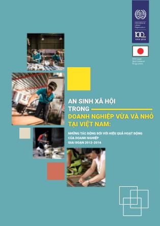 An sinh xã hội trong doanh nghiệp vừa và nhỏ tại Việt Nam: Những tác động đối với hiệu quả hoạt động của doanh nghiệp giai đoạn 2012-2016