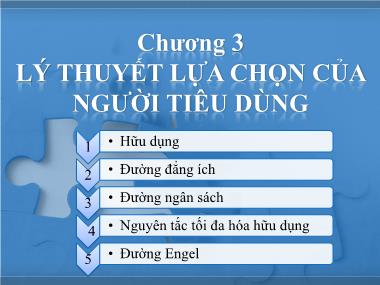 Bài giảng Kinh tế học - Chương 3: Lý thuyết lựa chọn của người tiêu dùng