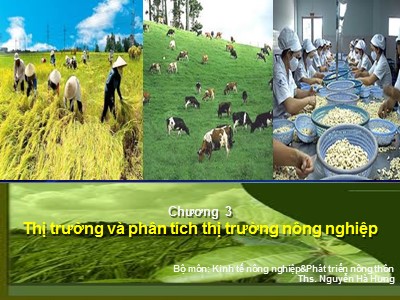 Bài giảng Kinh tế nông nghiệp - Chương 3: Thị trường và phân tích thị trường nông nghiệp