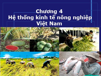 Bài giảng Kinh tế nông nghiệp - Chương 4: Hệ thống kinh tế nông nghiệp Việt Nam