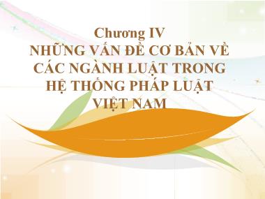 Bài giảng Nhà nước và pháp luật đại cương - Chương 4: Những vấn đề cơ bản về các ngành luật trong hệ thống pháp luật Việt Nam - Luật hình sự Việt Nam