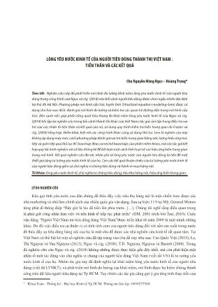 Lòng yêu nước kinh tế của người tiêu dùng thành thị Việt Nam: Tiền thân và các kết quả