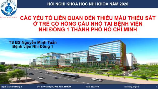 Các yếu tố liên quan đến thiếu máu thiếu sắt ở trẻ có hồng cầu nhỏ tại bệnh viện Nhi Đồng 1 Thành phố Hồ Chí Minh