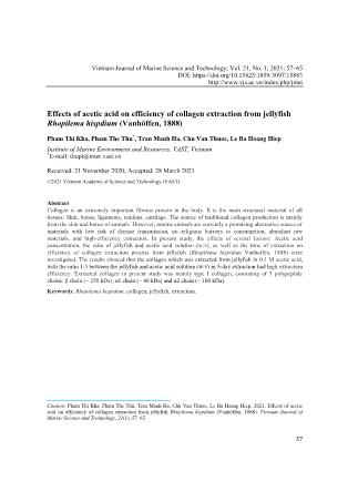 Effects of acetic acid on efficiency of collagen extraction from jellyfish Rhopilema hispdium (Vanhöffen, 1888)