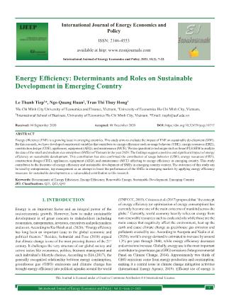 Energy Efficiency: Determinants and Roles on Sustainable Development in Emerging Country
