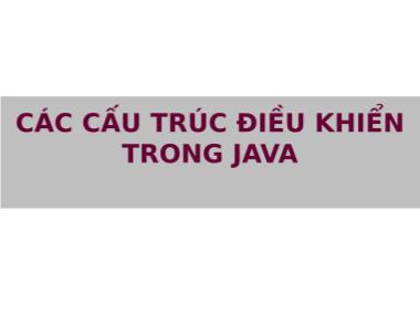 Bài giảng Kỹ thuật phần mềm - Chương 2: Các cấu trúc điều khiển trong java