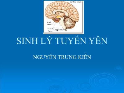 Bài giảng Sinh lý tuyến yên - Nguyễn Trung Kiên