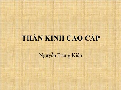 Bài giảng Thần kinh cao cấp - Nguyễn Trung Kiên