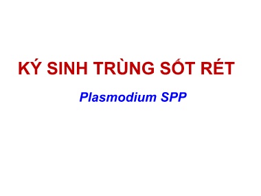 Bài giảng Ký sinh trùng sốt rét