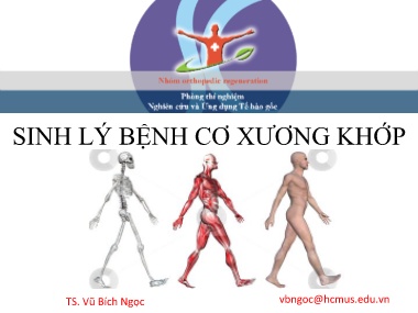 Bài giảng Sinh lý bệnh cơ xương khớp