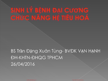 Bài giảng Sinh lý bệnh đại cương. Chức năng hệ tiêu hóa