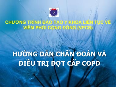 Đề tài Hướng dẫn chẩn đoán và điều trị đợt cấp COPD