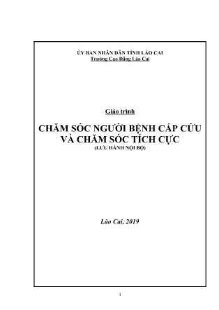 Giáo trình Chăm sóc người bệnh cấp cứu và chăm sóc tích cực - Trường Cao Đẳng Lào Cai